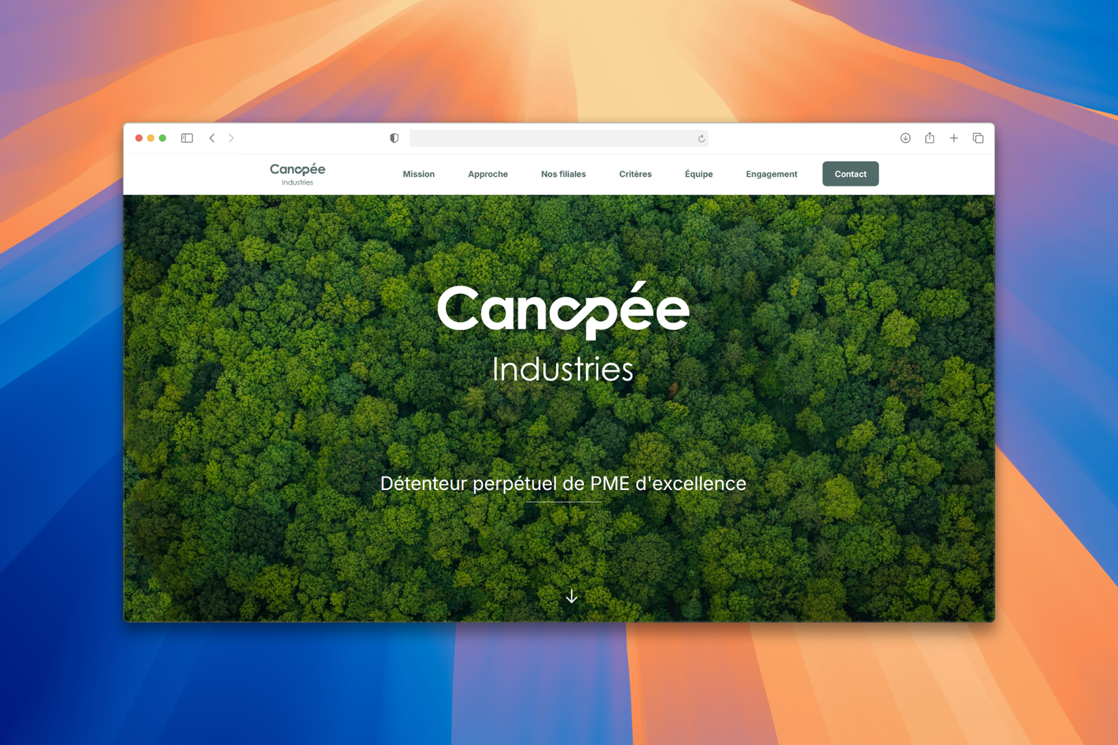 Portfolio Pauline Sirot